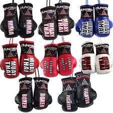 Gants de Boxe Mini pour Miroir de Voiture Dynamix Athletics