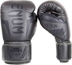 Gants de Boxe Venum Elite 10 Oz - Gris/Gris