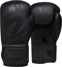 Gants de Boxe Muay Thai RDX - Cuir Maya Noir