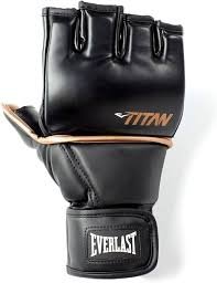 Gants de Lutte Everlast Titan - Noir - S/M & L/XL