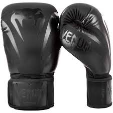 Gants de Boxe Venum Impact Noir 226