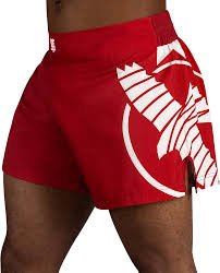 Shorts de Kickboxing Hayabusa Icon - Bleu / Blanc