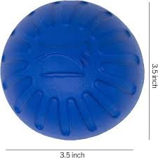 Balle en Mousse Fantastique pour Chien - EVERLASTING 8