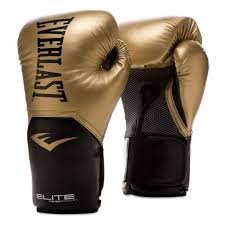 Gants de Boxe Entraînement Unisexes 14oz Everlast Pro