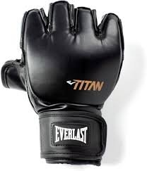 Gants de Boxe Unisexes Titane MMA Everlast